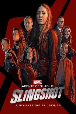 دانلود سریال Agents of S.H.I.E.L.D.: Slingshot 2016