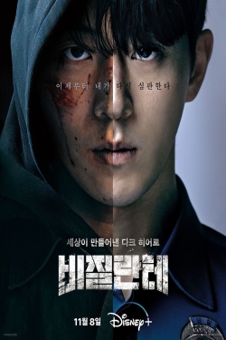 دانلود سریال کره ای Vigilante 